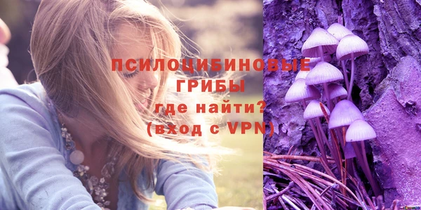 крисы Верхний Тагил