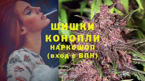 крисы Верхний Тагил