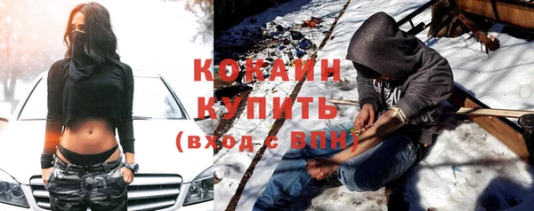 крисы Верхний Тагил