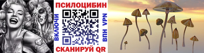 Купить где  Бирск  Псилоцибиновые грибы мицелий 